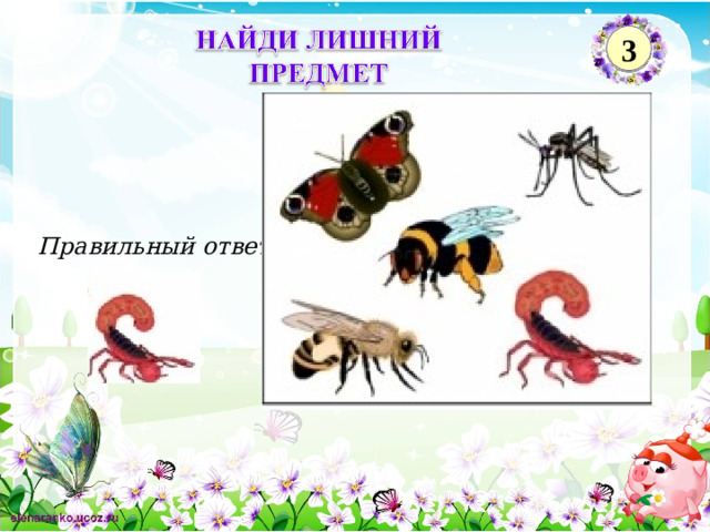 3 Правильный ответ 2