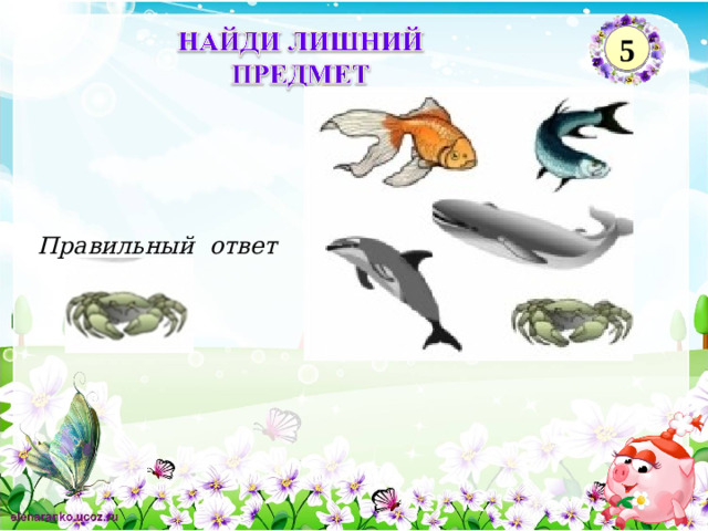 5 Правильный ответ 2