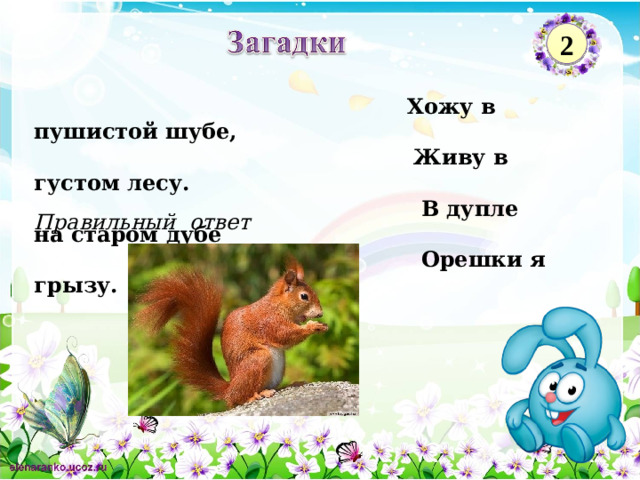 2  Хожу в пушистой шубе,  Живу в густом лесу.  В дупле на старом дубе  Орешки я грызу. Правильный ответ 2