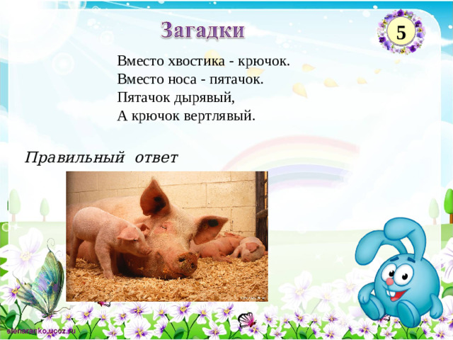 5 Вместо хвостика - крючок.  Вместо носа - пятачок.  Пятачок дырявый,   А крючок вертлявый. Правильный ответ 2