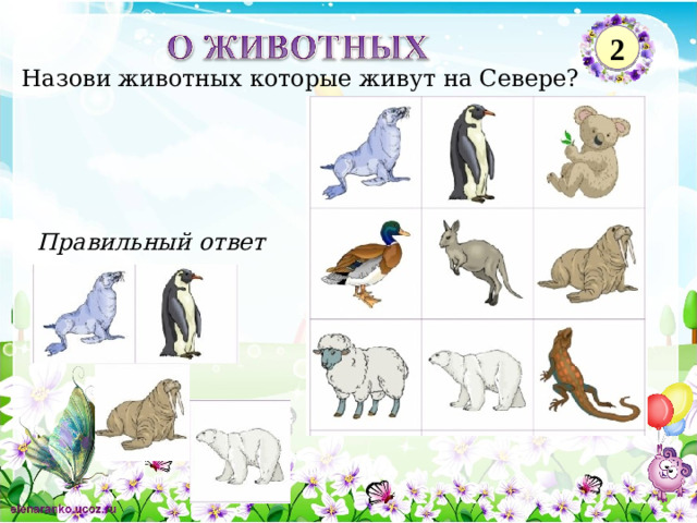 2 Назови животных которые живут на Севере? Правильный ответ 2