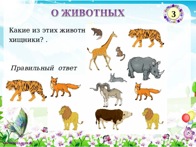 3 Какие из этих животных хищники? . Правильный ответ 2
