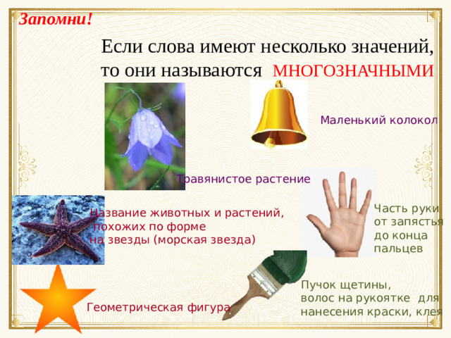 Запомни! Если слова имеют несколько значений, то они называются МНОГОЗНАЧНЫМИ  Маленький колокол Травянистое растение Часть руки от запястья до конца пальцев Название животных и растений,  похожих по форме на звезды (морская звезда) Пучок щетины, волос на рукоятке для нанесения краски, клея Геометрическая фигура