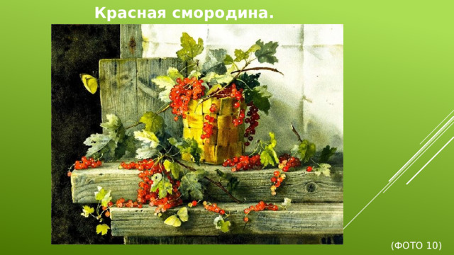 Красная смородина.        (Фото 10)
