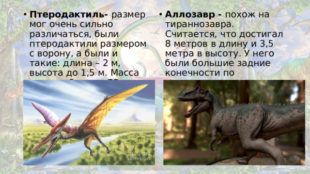 Птеродактиль- размер  мог очень сильно различаться, были птеродактили размером с ворону, а были и такие: длина – 2 м, высота до 1,5 м. Масса тела не больше 75кг Аллозавр - похож на тираннозавра. Считается, что достигал 8 метров в длину и 3,5 метра в высоту. У него были большие задние конечности по сравнению с передними