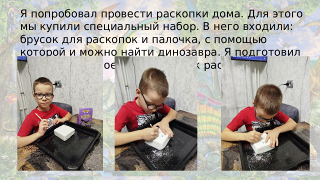 Я попробовал провести раскопки дома. Для этого мы купили специальный набор. В него входили: брусок для раскопок и палочка, с помощью которой и можно найти динозавра. Я подготовил всё необходимое и приступил к раскопкам.