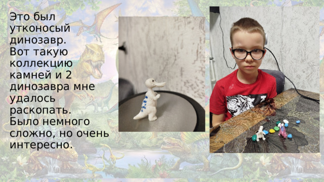 Это был утконосый динозавр.  Вот такую коллекцию камней и 2 динозавра мне удалось раскопать.  Было немного сложно, но очень интересно.