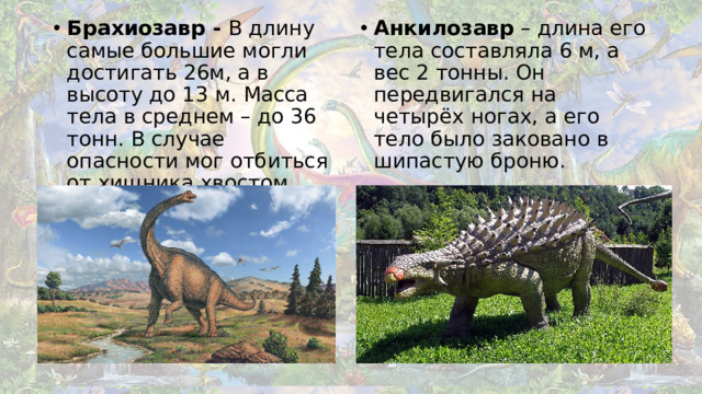 Брахиозавр - В длину самые большие могли достигать 26м, а в высоту до 13 м. Масса тела в среднем – до 36 тонн. В случае опасности мог отбиться от хищника хвостом. Анкилозавр – длина его тела составляла 6 м, а вес 2 тонны. Он передвигался на четырёх ногах, а его тело было заковано в шипастую броню.