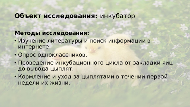 Объект исследования: инкубатор Методы исследования: