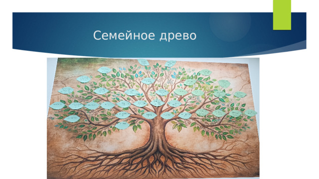 Семейное древо
