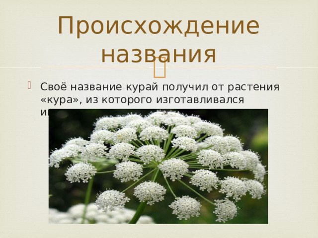 Происхождение названия