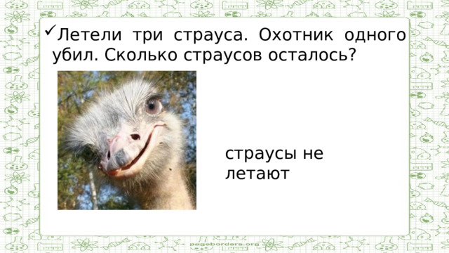 Летели три страуса. Охотник одного убил. Сколько страусов осталось?