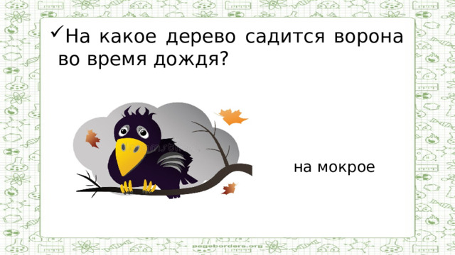 На какое дерево садится ворона во время дождя?