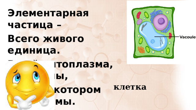 Элементарная частица – Всего живого единица. В ней цитоплазма, рибосомы, Ядро, в котором хромосомы. клетка