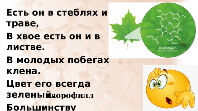 Есть он в стеблях и траве, В хвое есть он и в листве. В молодых побегах клена. Цвет его всегда зеленый. Большинству растений мил Очень важный… хлорофилл