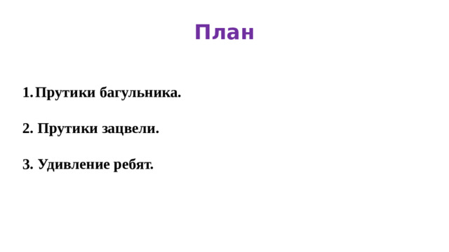 План Прутики багульника.  2. Прутики зацвели.  3. Удивление ребят.
