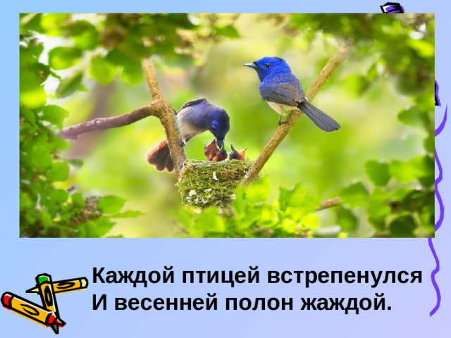 Каждой птицей встрепенулся И весенней полон жаждой.
