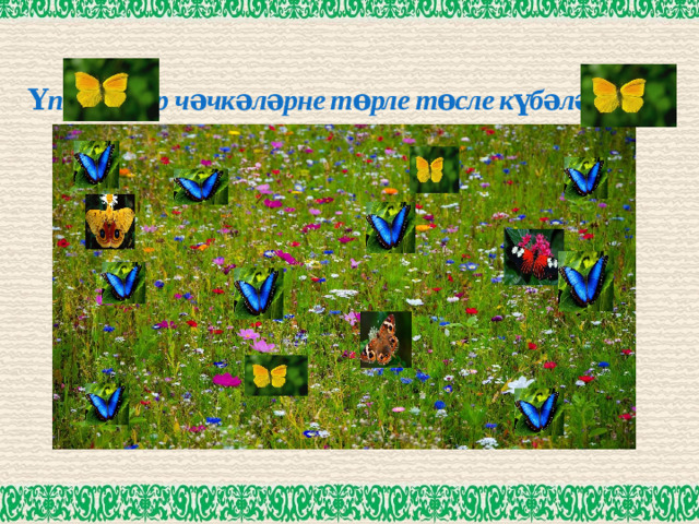 Үпкәлиләр чәчкәләрне төрле төсле күбәләкләр...