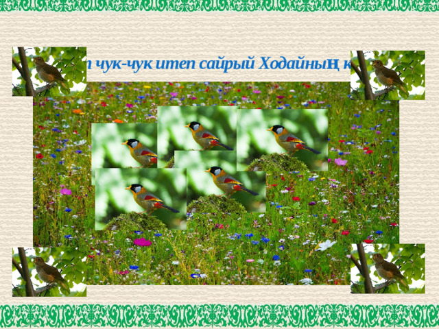 Бервакыт чук-чук итеп сайрый Ходайның кошлары...