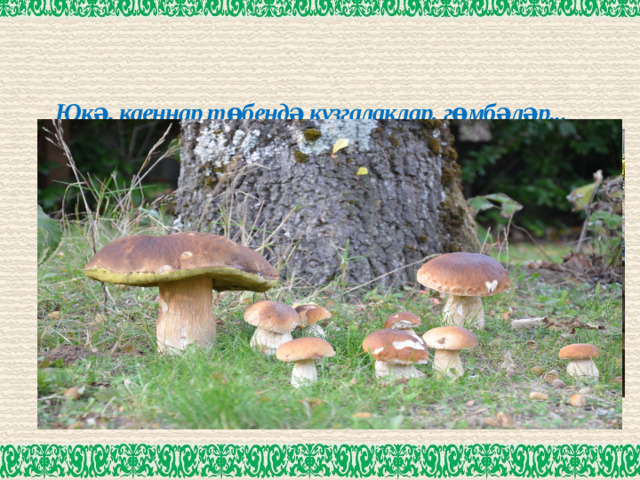 Юкә, каеннар төбендә кузгалаклар, гөмбәләр...