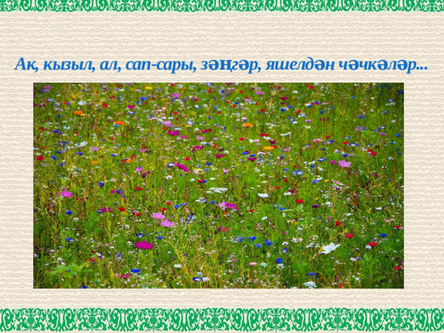 Ак, кызыл, ал, сап-сары, зәңгәр, яшелдән чәчкәләр...