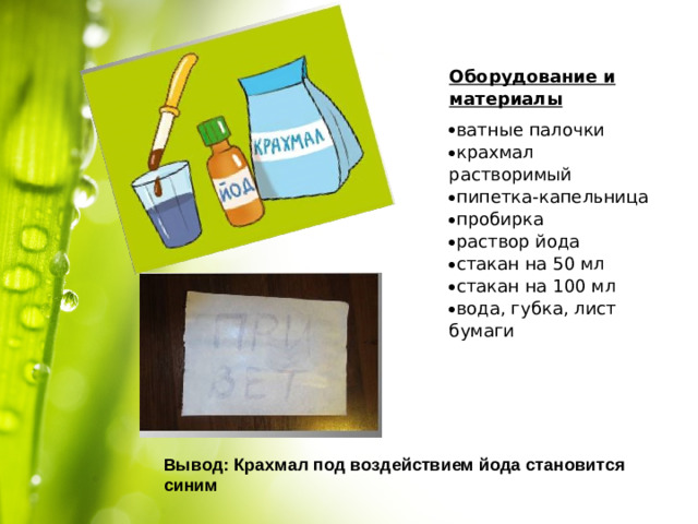 Оборудование и материалы ватные палочки крахмал растворимый пипетка-капельница пробирка раствор йода стакан на 50 мл стакан на 100 мл вода, губка, лист бумаги   Вывод: Крахмал под воздействием йода становится синим