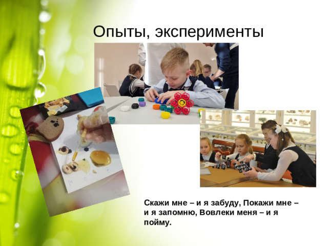 Опыты, эксперименты Скажи мне – и я забуду, Покажи мне – и я запомню, Вовлеки меня – и я пойму.