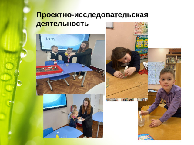 Проектно-исследовательская деятельность