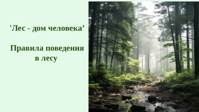 'Лес - дом человека’  Правила поведения в лесу 