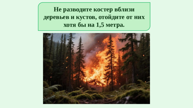 Не разводите костер вблизи деревьев и кустов, отойдите от них хотя бы на 1,5 метра.