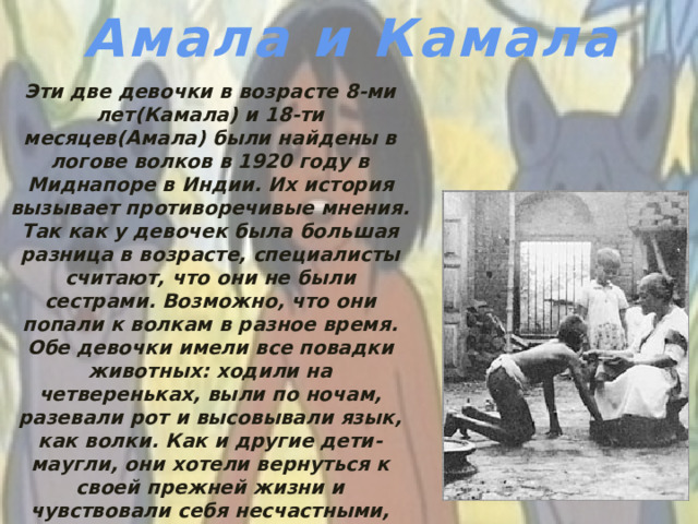 Амала и Камала Эти две девочки в возрасте 8-ми лет(Камала) и 18-ти месяцев(Амала) были найдены в логове волков в 1920 году в Миднапоре в Индии. Их история вызывает противоречивые мнения. Так как у девочек была большая разница в возрасте, специалисты считают, что они не были сестрами. Возможно, что они попали к волкам в разное время. Обе девочки имели все повадки животных: ходили на четвереньках, выли по ночам, разевали рот и высовывали язык, как волки. Как и другие дети-маугли, они хотели вернуться к своей прежней жизни и чувствовали себя несчастными, стараясь освоиться в цивилизованном мире. После того как младшая девочка умерла, Камала в первый раз заплакала. Старшей девочке удалось частично социализироваться.
