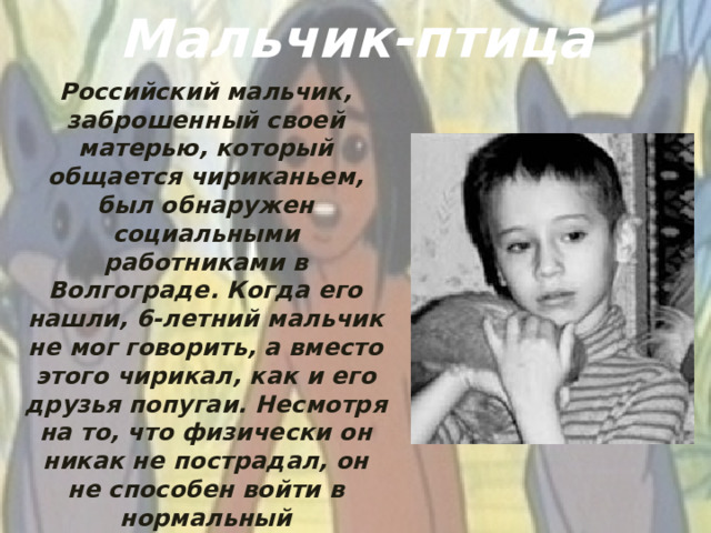 Мальчик-птица Российский мальчик, заброшенный своей матерью, который общается чириканьем, был обнаружен социальными работниками в Волгограде. Когда его нашли, 6-летний мальчик не мог говорить, а вместо этого чирикал, как и его друзья попугаи. Несмотря на то, что физически он никак не пострадал, он не способен войти в нормальный человеческий контакт. Он выражает свои эмоции, помахивая руками, словно птица крыльями.