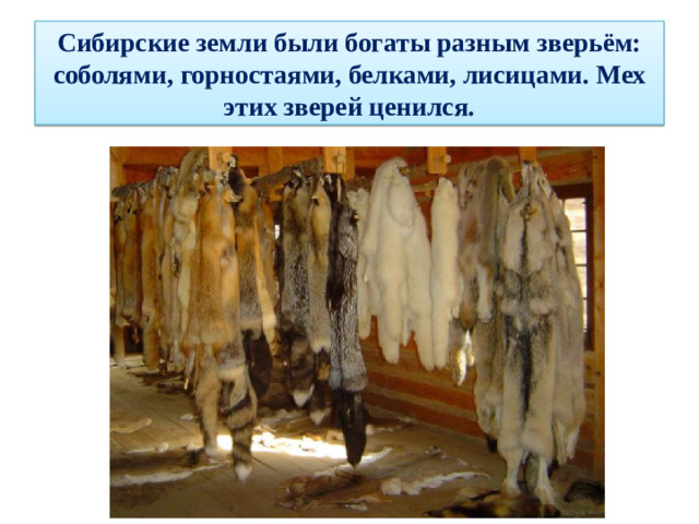 Сибирские земли были богаты разным зверьём: соболями, горностаями, белками, лисицами. Мех этих зверей ценился.