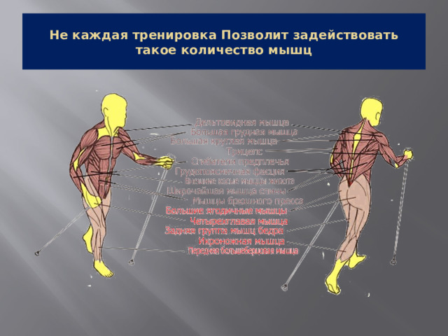 Не каждая тренировка Позволит задействовать такое количество мышц