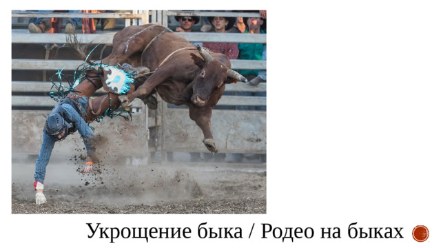 Укрощение быка / Родео на быках