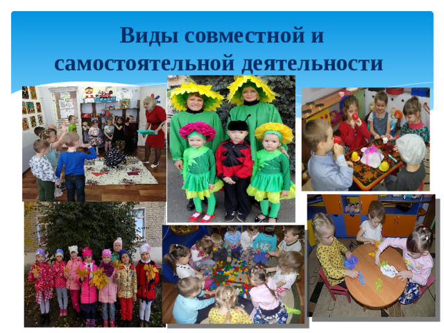 Виды совместной и самостоятельной деятельности
