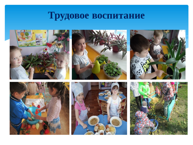 Трудовое воспитание