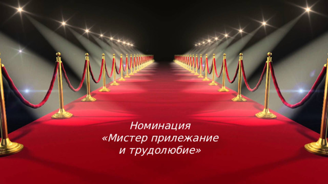 Номинация  «Мистер прилежание  и трудолюбие»