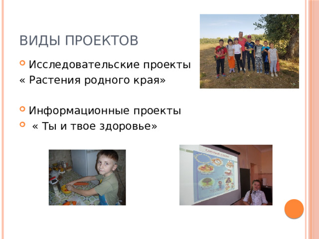 Виды проектов Исследовательские проекты « Растения родного края»