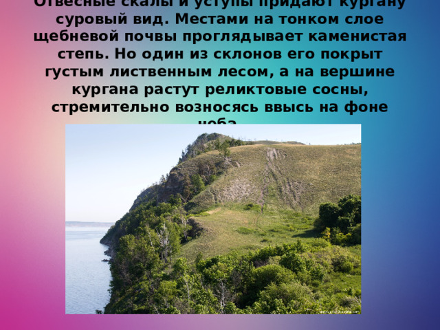 Молодецкий курган уникален по своей сути. Отвесные скалы и уступы придают кургану суровый вид. Местами на тонком слое щебневой почвы проглядывает каменистая степь. Но один из склонов его покрыт густым лиственным лесом, а на вершине кургана растут реликтовые сосны, стремительно возносясь ввысь на фоне неба.