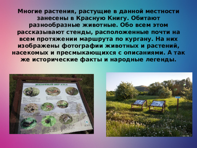 Многие растения, растущие в данной местности занесены в Красную Книгу. Обитают разнообразные животные. Обо всем этом рассказывают стенды, расположенные почти на всем протяжении маршрута по кургану. На них изображены фотографии животных и растений, насекомых и пресмыкающихся с описаниями. А так же исторические факты и народные легенды.