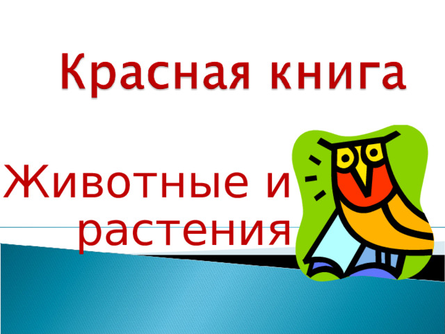 Животные и растения