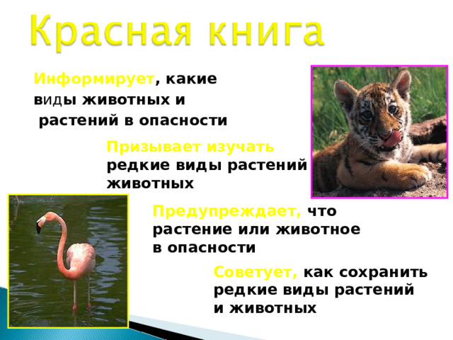 Информирует , какие в ид ы животных и  растений в опасности Призывает изучать редкие виды растений и животных Предупреждает, что растение или животное в опасности Советует, как сохранить редкие виды растений и животных