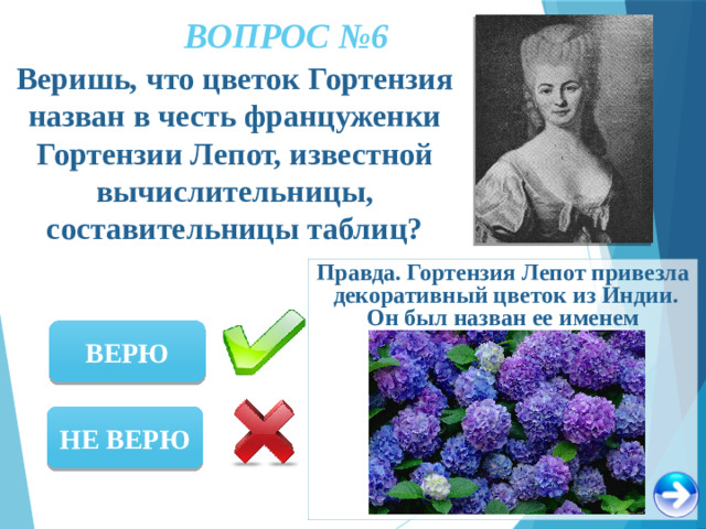 ВОПРОС №6 Веришь, что цветок Гортензия назван в честь француженки Гортензии Лепот, известной вычислительницы, составительницы таблиц? Правда. Гортензия Лепот привезла декоративный цветок из Индии. Он был назван ее именем ВЕРЮ НЕ ВЕРЮ