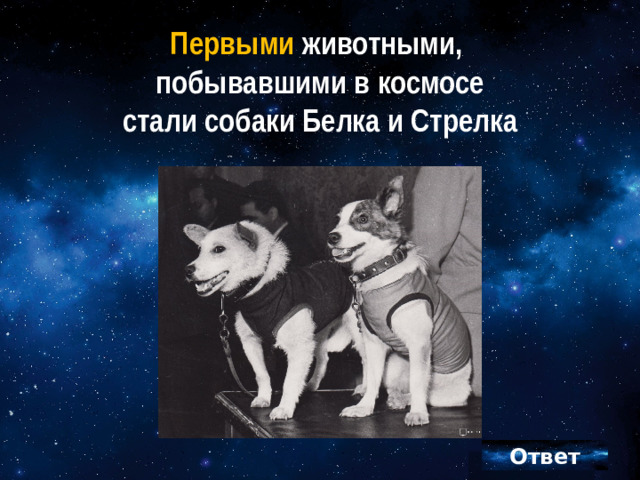 Первыми животными,  побывавшими в космосе  стали собаки Белка и Стрелка