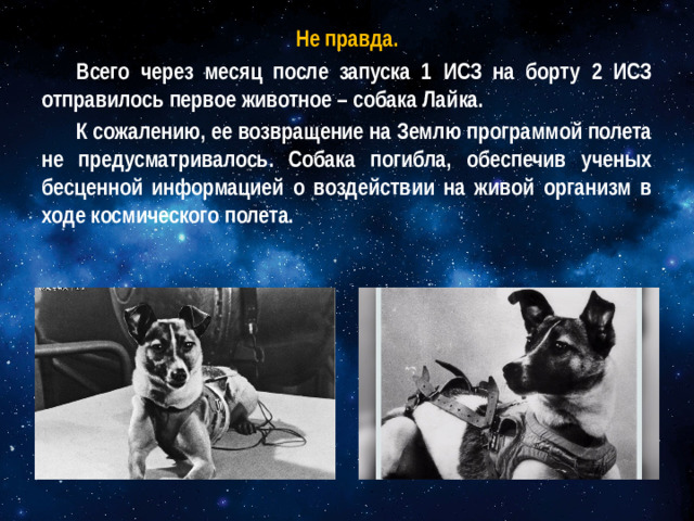 Не правда. Всего через месяц после запуска 1 ИСЗ на борту 2 ИСЗ отправилось первое животное – собака Лайка. К сожалению, ее возвращение на Землю программой полета не предусматривалось. Собака погибла, обеспечив ученых бесценной информацией о воздействии на живой организм в ходе космического полета.