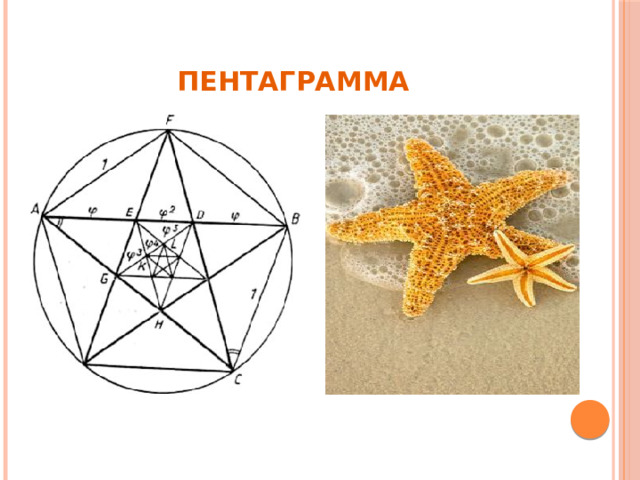Пентаграмма