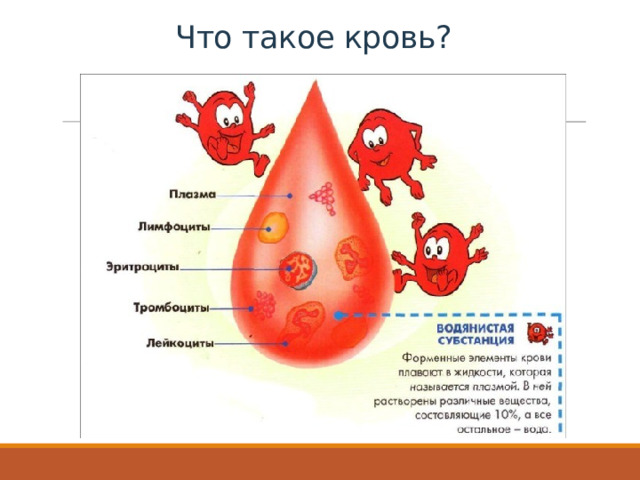 Что такое кровь?    Кровь – это жидкость, которая движется по нашим сосудам. Она состоит из жидкой части – плазмы и форменных элементов крови (эритроцитов, лейкоцитов, тромбоцитов).  В плазме содержаться самые разнообразные растворимые питательные вещества: белки , жиры, витамины, соли, необходимые для построения тканей организма и поддержания жизнедеятельности, а также органические вещества (различные соли), которые регулируют обмен веществ в организме.
