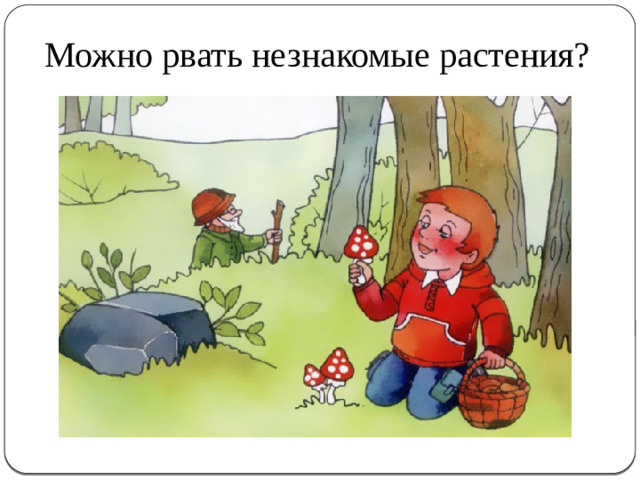Можно рвать незнакомые растения?