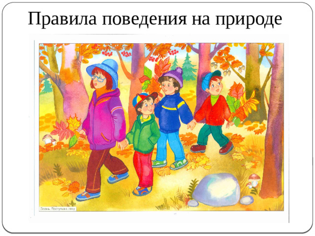 Правила поведения на природе